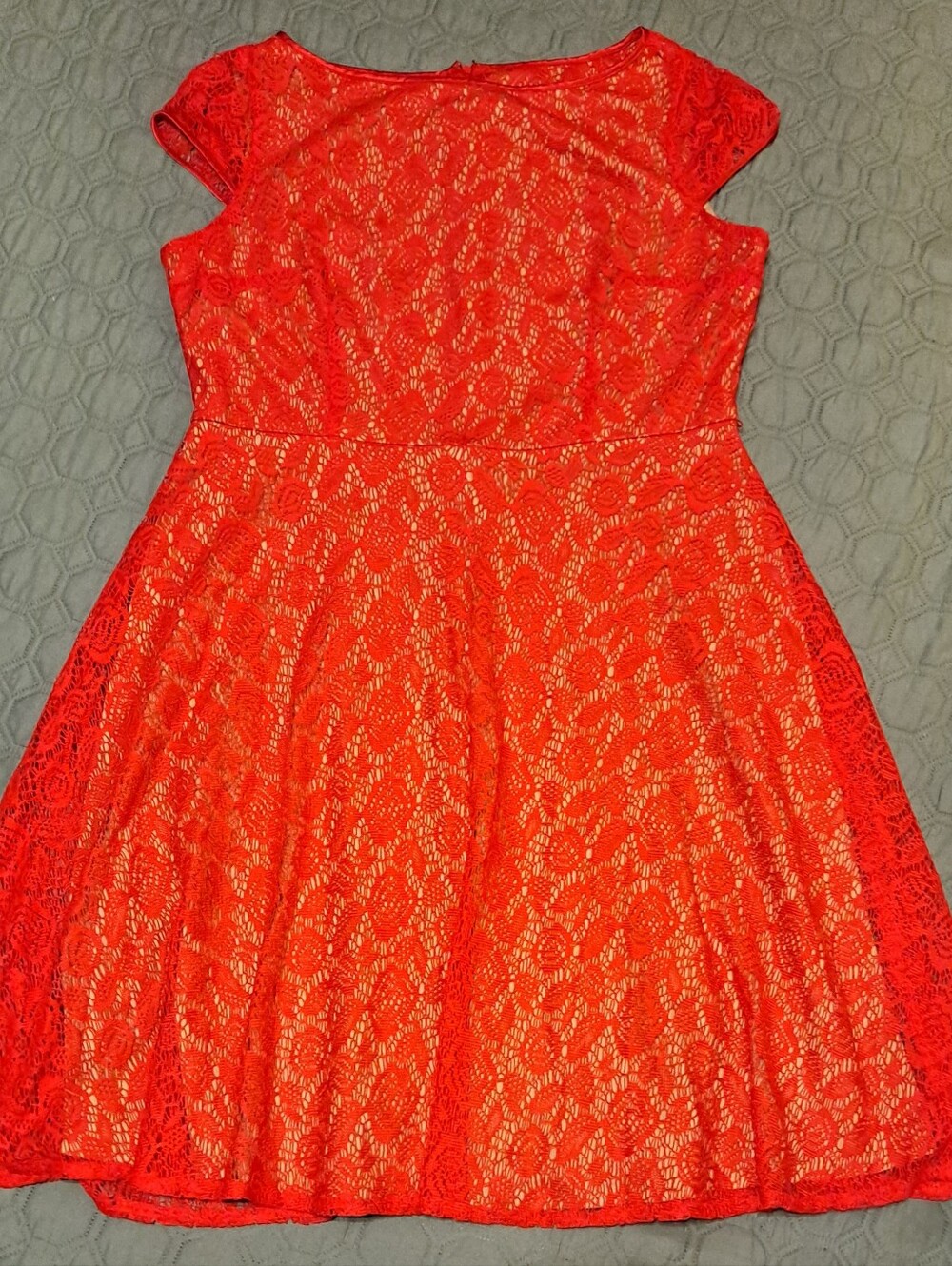 Black Label  Red Lace Fit-and-Flare Dress 18